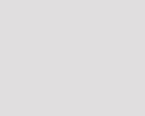 bg-vide